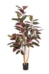 56706NR-iskusstvennyi-fikus-red-ruby-170-cm